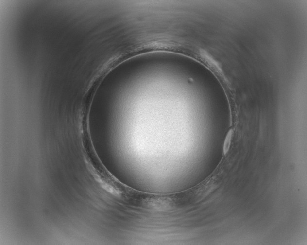 X0000071760106200607071246