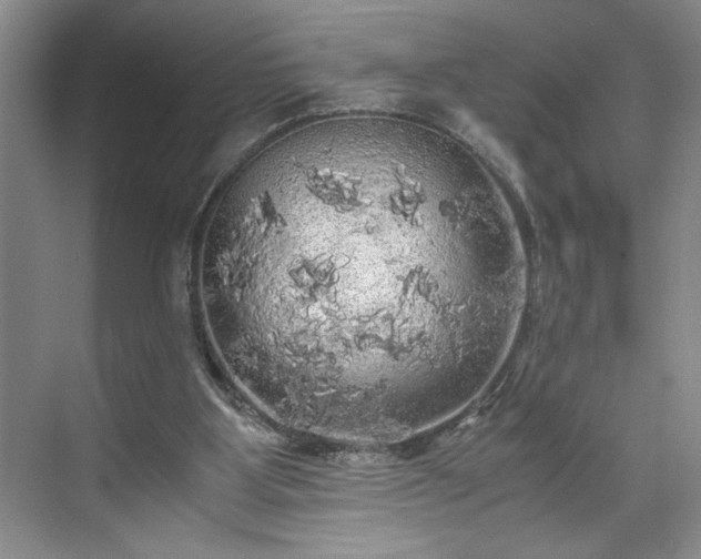 X0000071760107200607071246