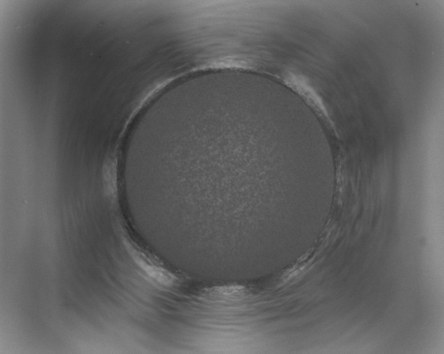 X0000071760108200607071246