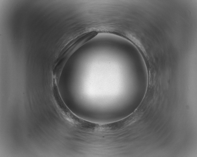 X0000071760109200607071246