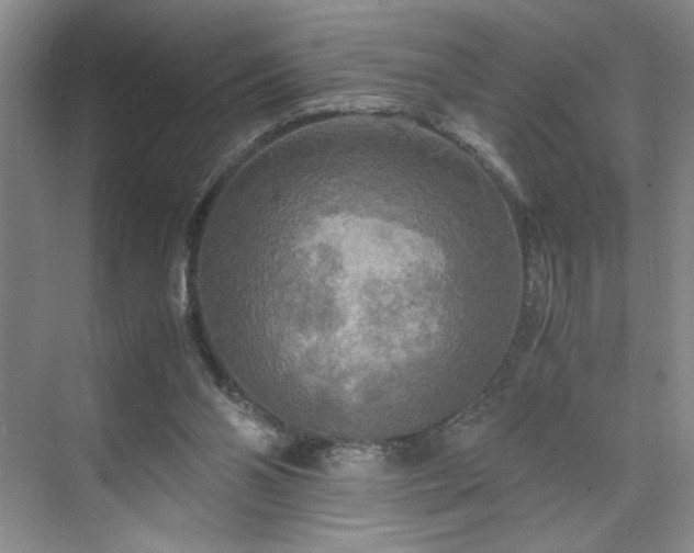 X0000071760110200607071246