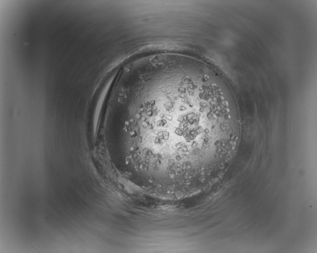 X0000071760111200607071246