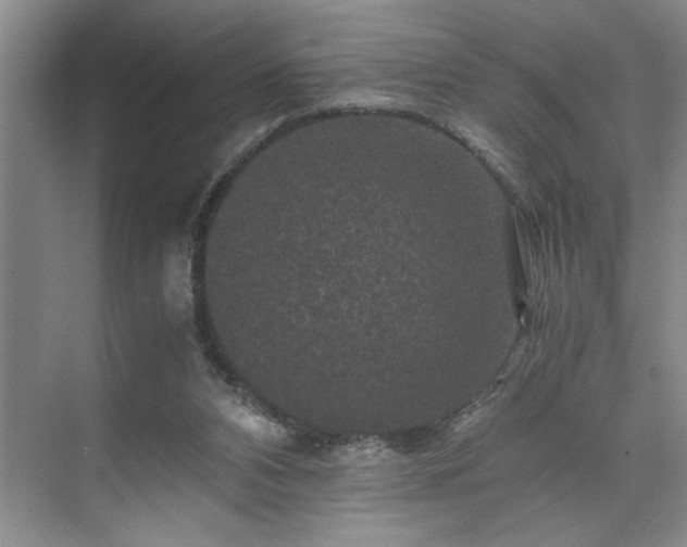 X0000071760112200607071246