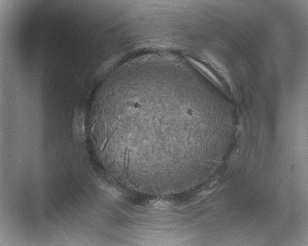 X0000071760115200607071246