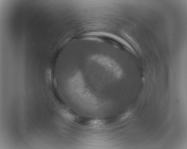 X0000071760117200607071246