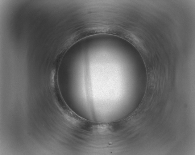 X0000071760118200607071246