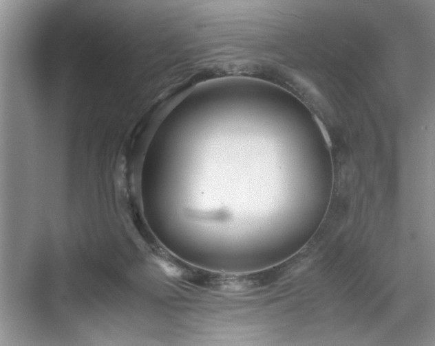 X0000071760121200607071246