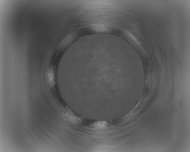 X0000071760124200607071246