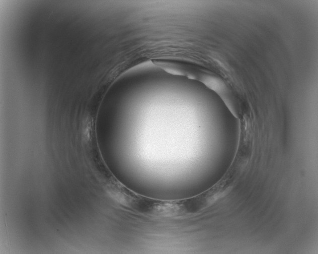 X0000071760125200607071246