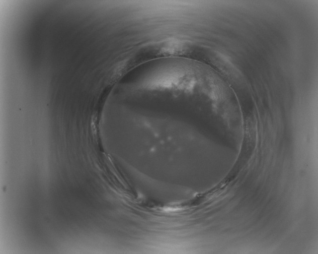 X0000071760127200607071246