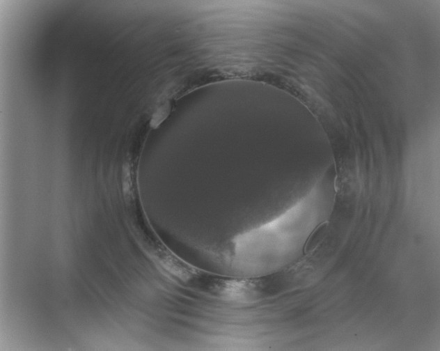 X0000071760130200607071246