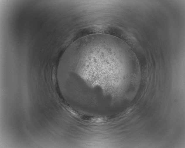 X0000071760131200607071246