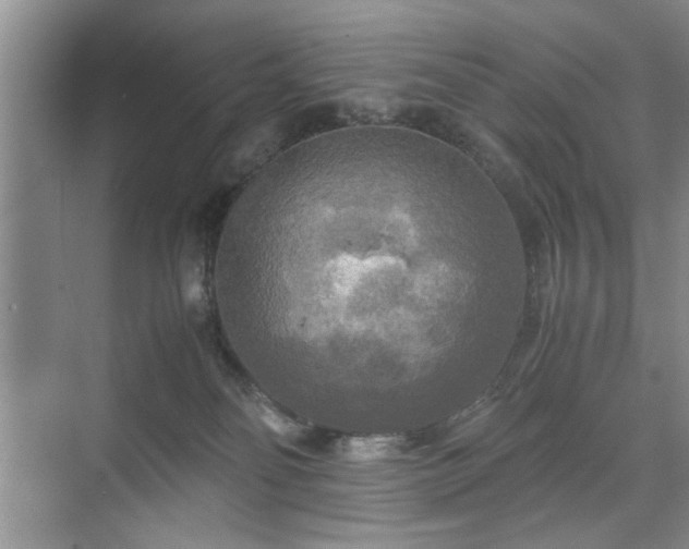 X0000071760134200607071246