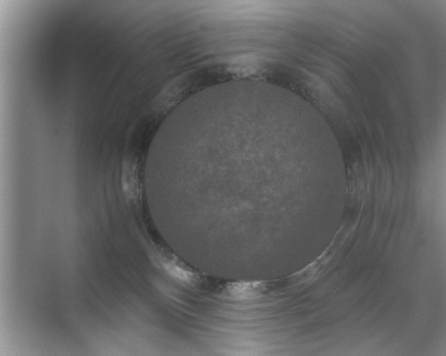 X0000071760136200607071245