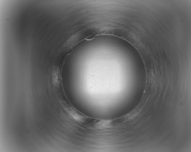 X0000071760138200607071245