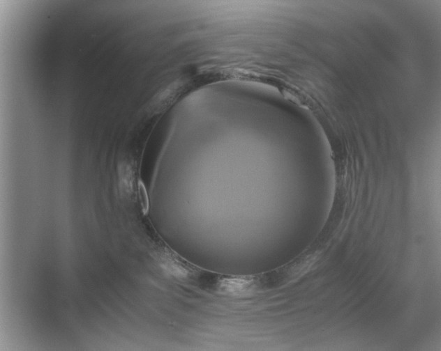 X0000071760139200607071245