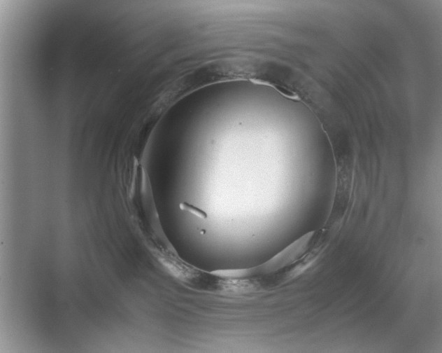 X0000071760141200607071245