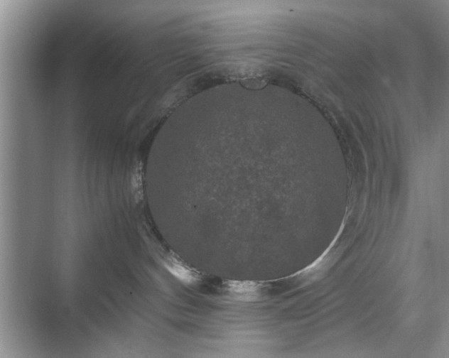 X0000071760144200607071245