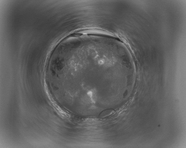 X0000071760145200607071245