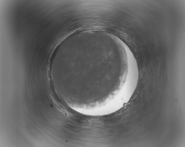 X0000071760146200607071245