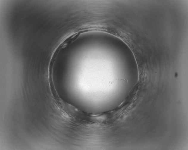 X0000071760148200607071245