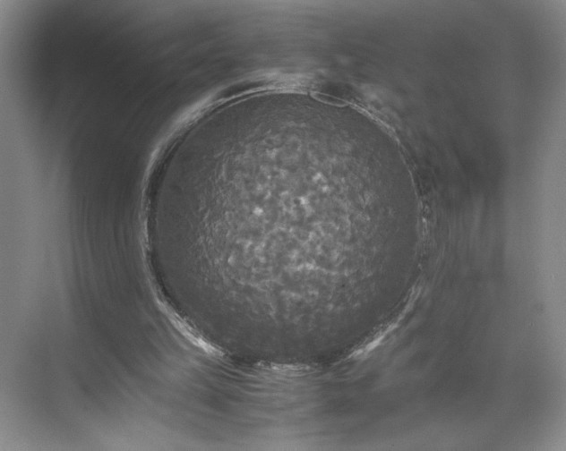 X0000071760149200607071245