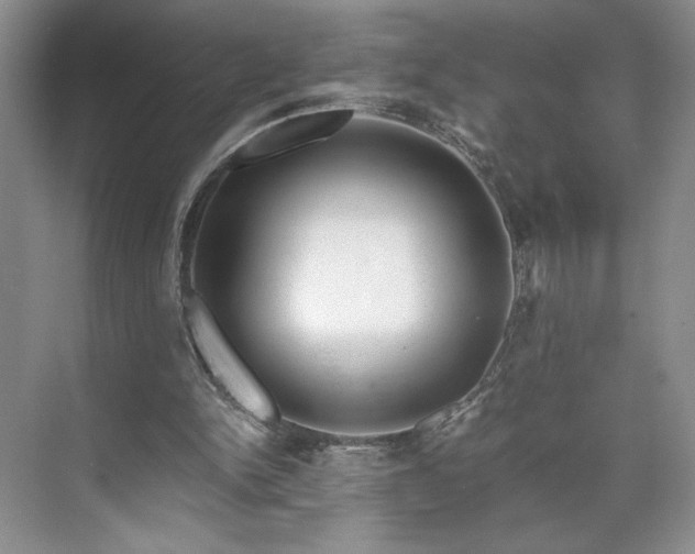 X0000071760150200607071245