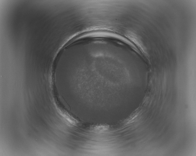 X0000071760156200607071245