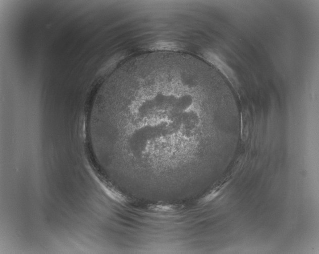 X0000071760157200607071245