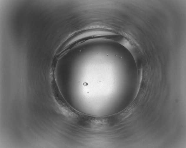 X0000071760160200607071245