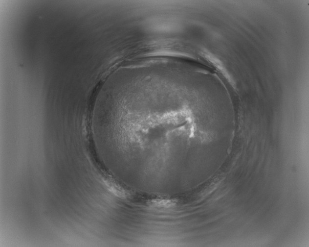 X0000071760161200607071245