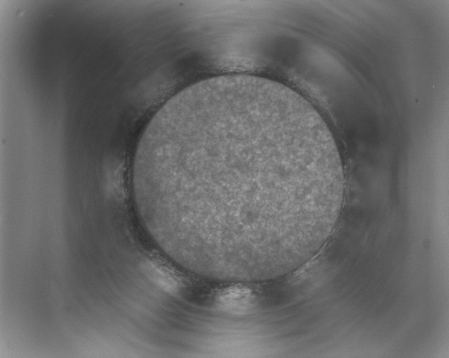 X0000071760162200607071245