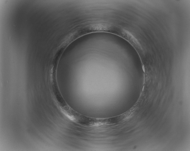 X0000071760163200607071245