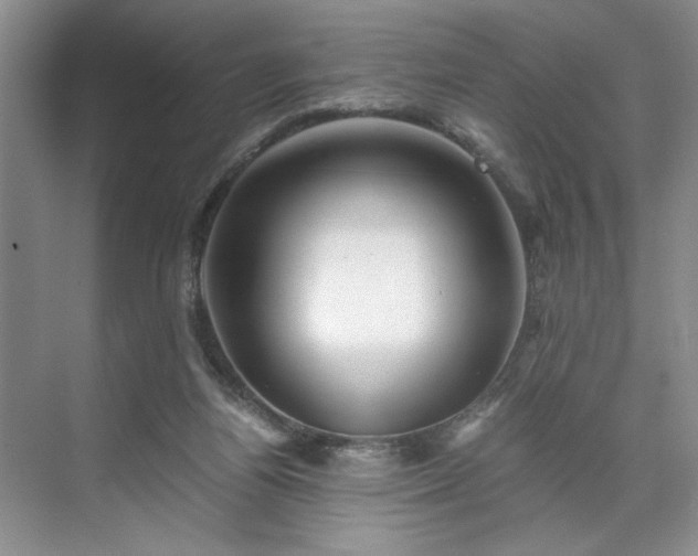 X0000071760164200607071245