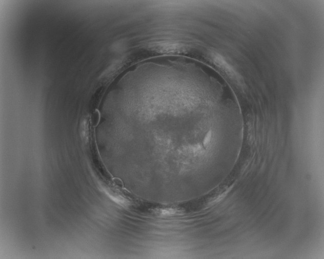 X0000071760165200607071245