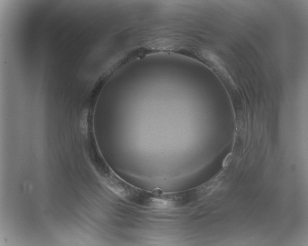 X0000071760167200607071245