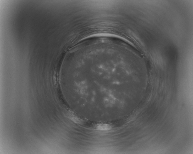 X0000071760169200607071245