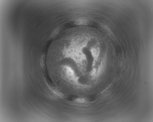 X0000071760171200607071245