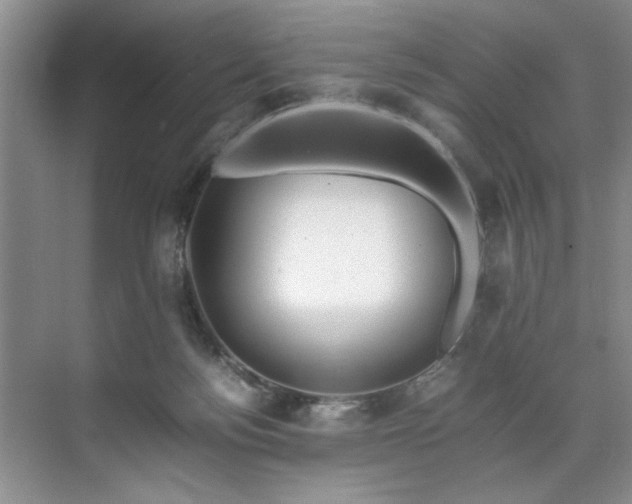 X0000071760172200607071245