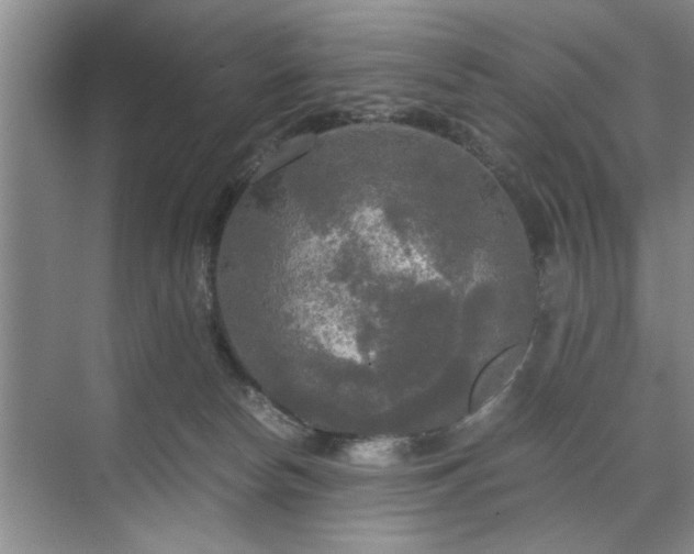 X0000071760178200607071245