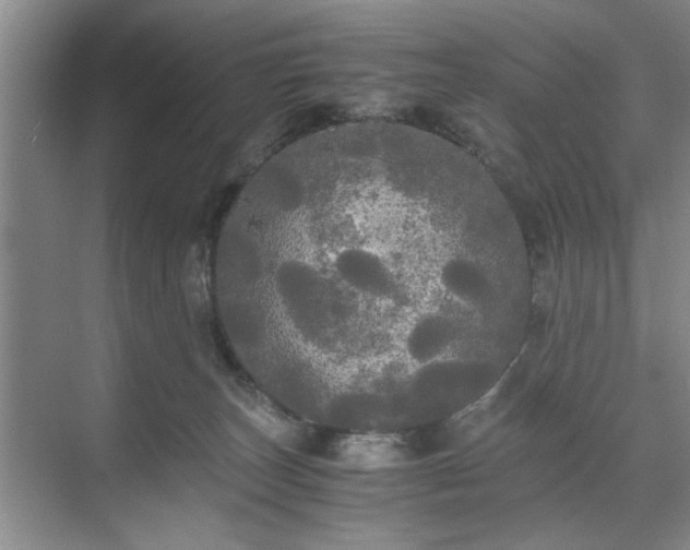 X0000071760179200607071245