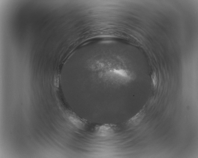 X0000071760180200607071245