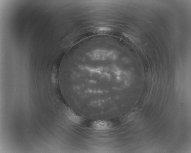 X0000071760181200607071245