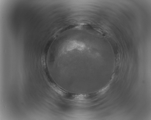 X0000071760182200607071245