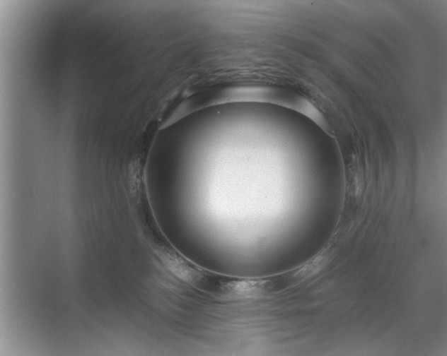 X0000071760184200607071245