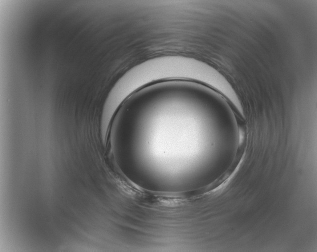 X0000071760190200607071245