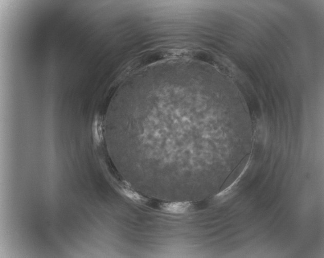 X0000071760191200607071245