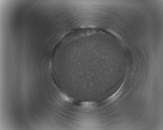 X0000071760192200607071245