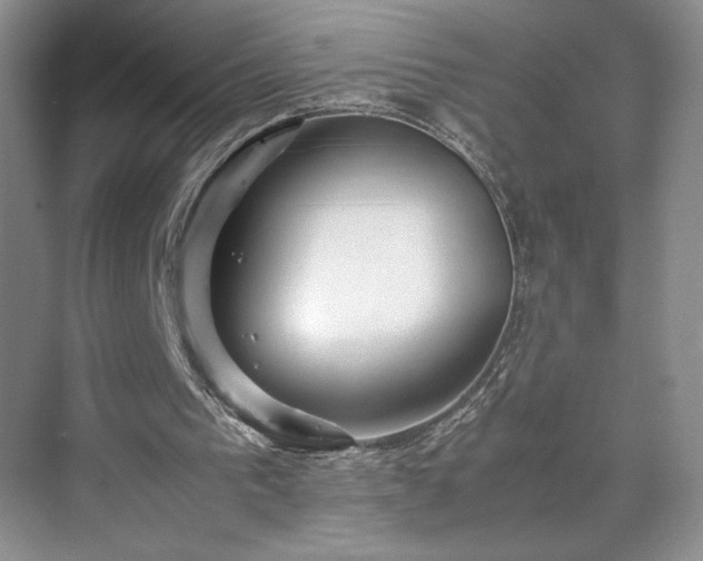 X0000071760193200607071245