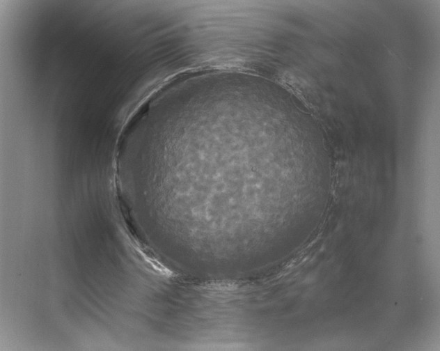 X0000071760194200607071245